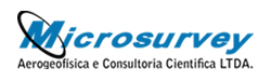 logo_microsurvey